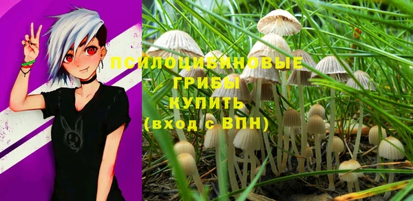 молекула духа Аркадак