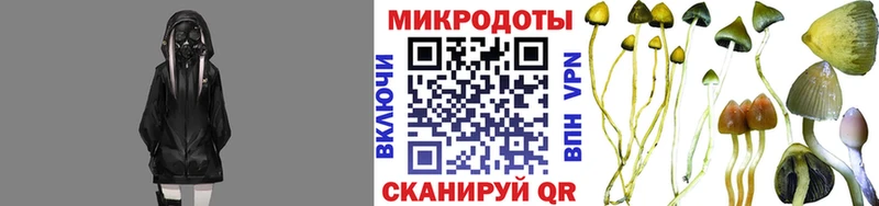 Псилоцибиновые грибы мицелий  Байкальск 